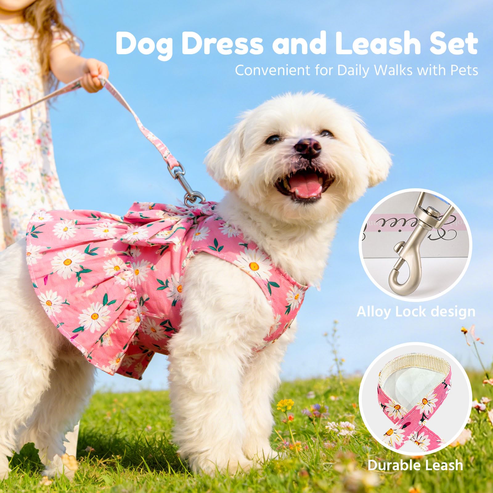 Amazon.com : BAEJMJK Dog Dress Bowknot Harness Leash Set for Small